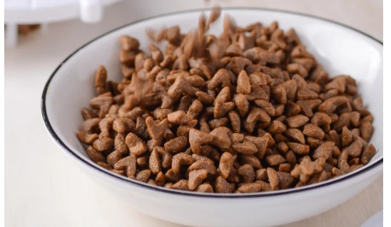 “毒猫粮”事件拷问宠物食品安全