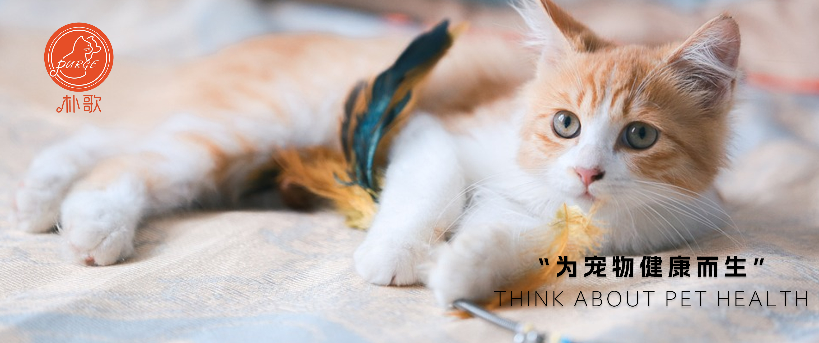 破解宠物看病贵，还要走多远?